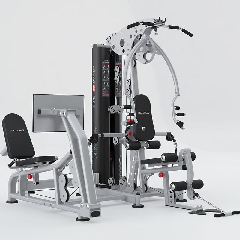 澳门新葡萄8883 综合训练器两人站219多功能运动力量健身器材 219两人站