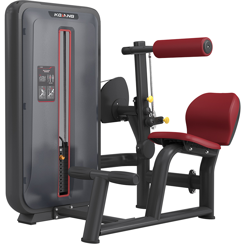 澳门新葡萄88836010背部伸展训练器商用健身器材健身房团购综合训练器 