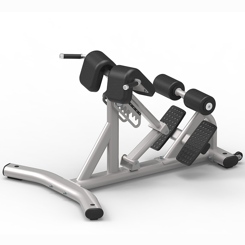 澳门新葡萄8883健身房专业力量运动健身器材 罗马椅9170